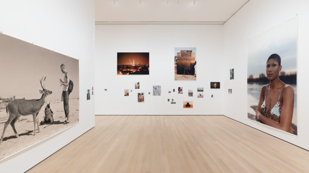 Installation view of Wolfgang Tillmans: To look without fear, 2022