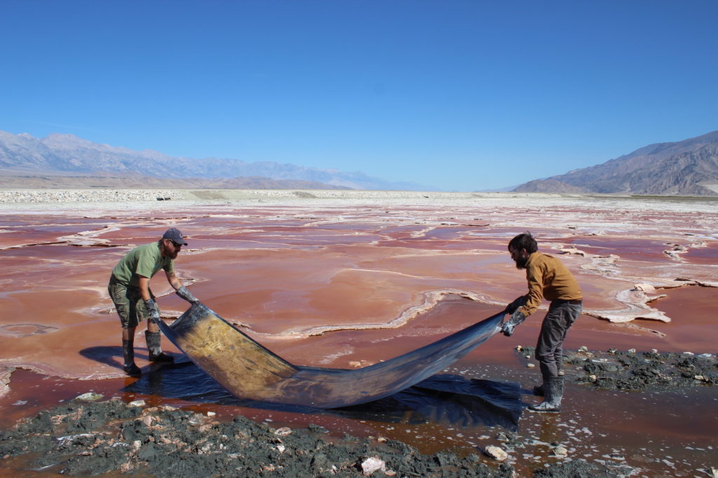 Lake Bed Developing Process, 2013