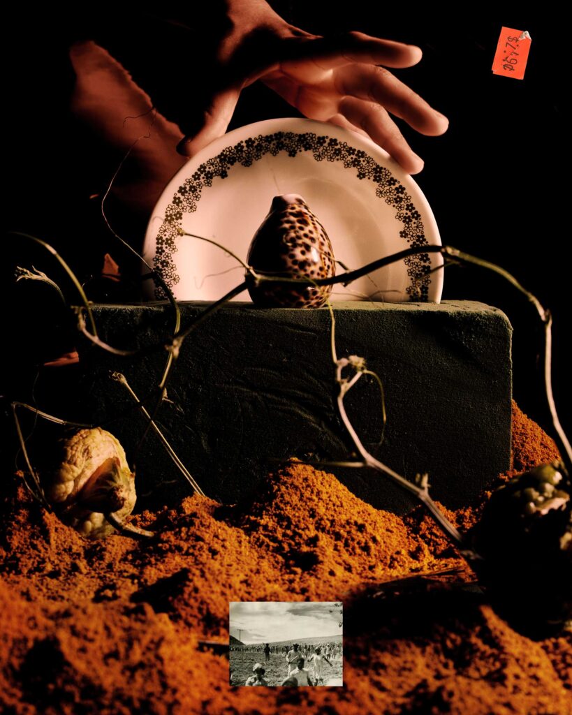 A color still life with dirt, an archival photograph, and a plate