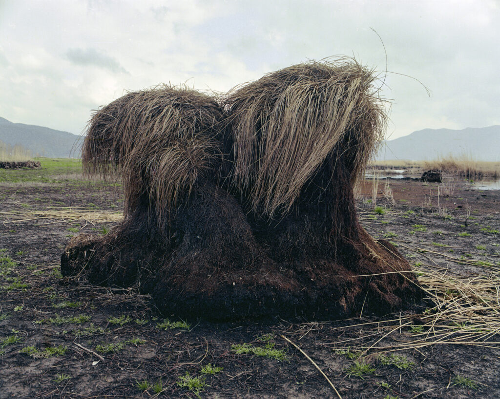 Zhoobin Abdiani, Untitled (from Zrêbar section), from the series Remains of a Body, 2017–23