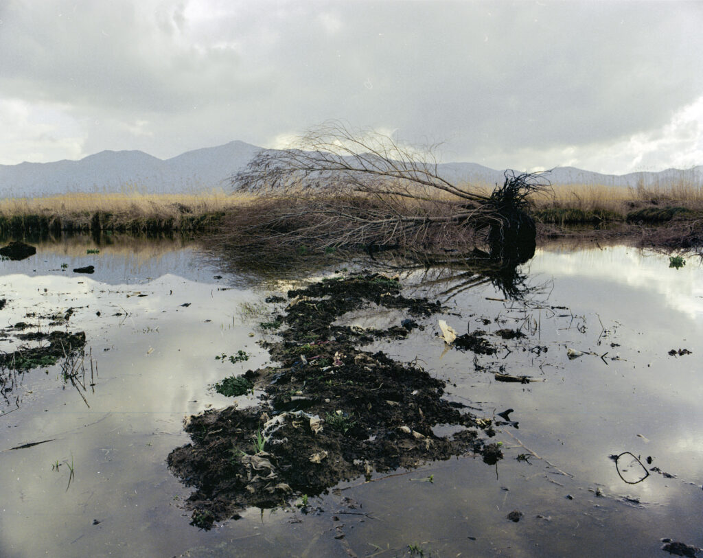 Zhoobin Abdiani, Untitled (from Zrêbar section), from the series Remains of a Body, 2017–23