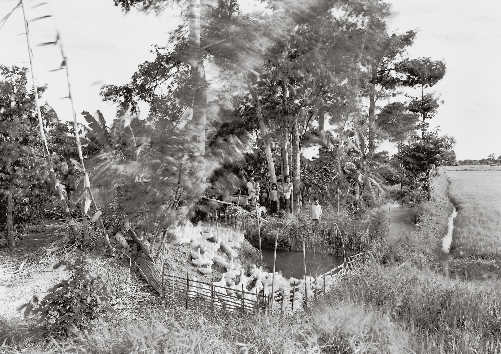  An-My Lê, Untitled, Mekong Delta, 1994, from the series Viêt Nam 