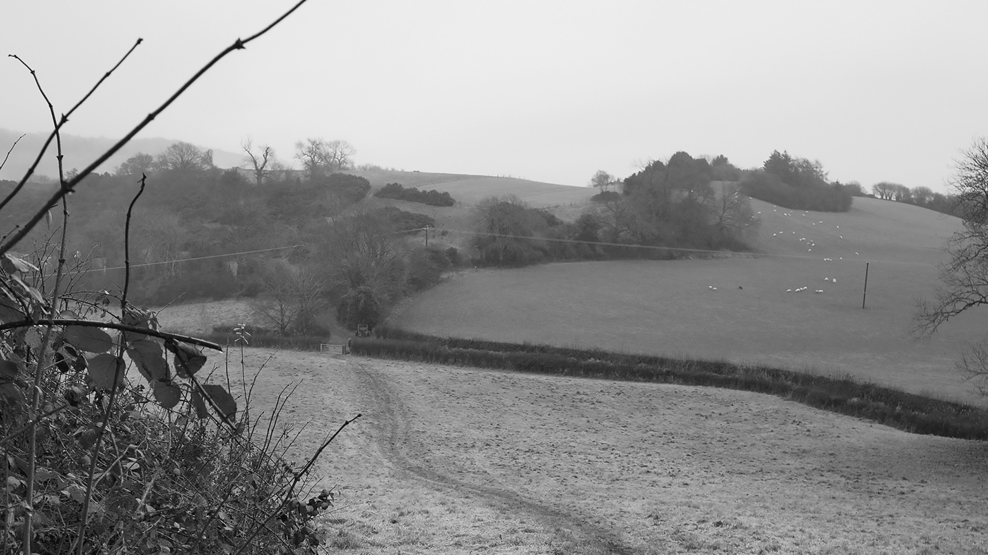 An Artist's Meditation on Moving through the English Landscape - Vimarsana News