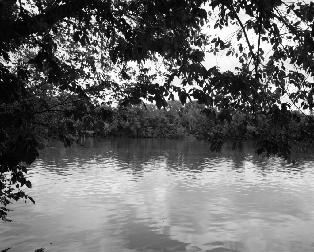 A black and white photo of a riverbank in a heavily vegetated landscape.