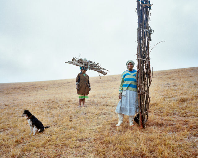 A Young Photographer Makes a Family Tree about South Africa