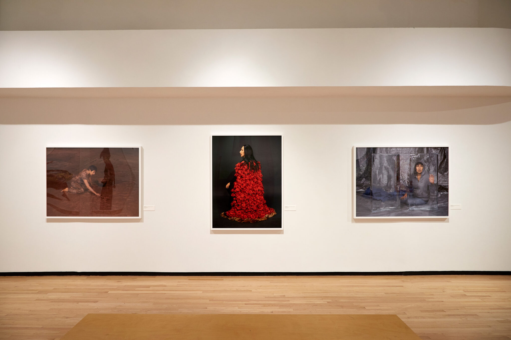 c53a9e13-333d-5f13-eec9-9d37351266a0