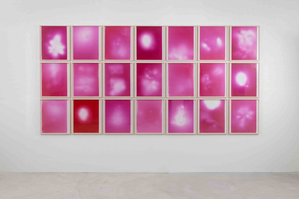 Sigmar Polke, Uranium (Pink), Urangestein (Rosa), 1992