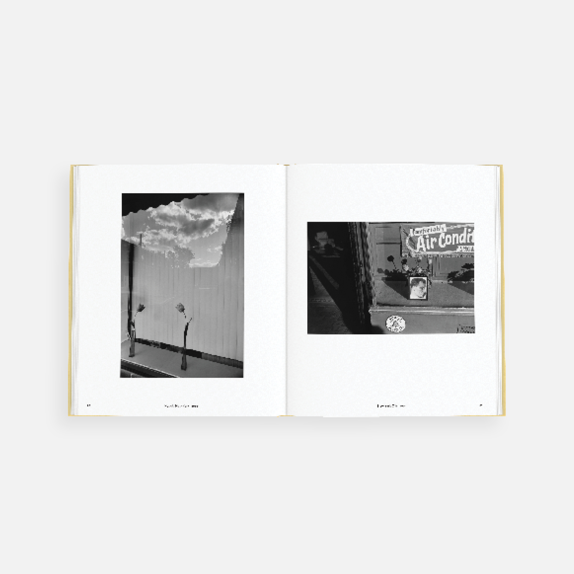 Lee Friedlander: Life Still (2026) | Aperture Photobooks