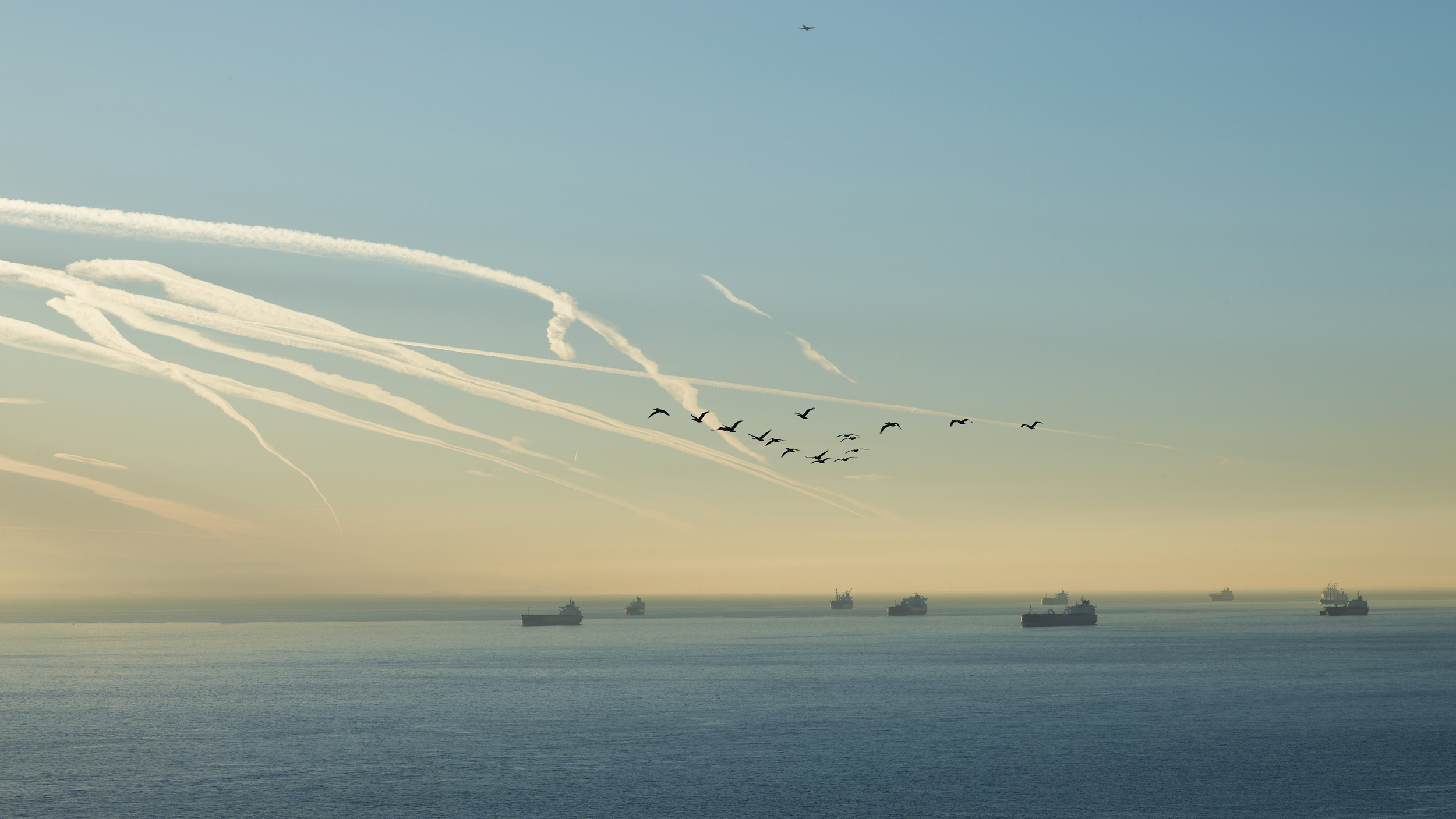 Richard Misrach on the Eerie Grandeur of Global Trade