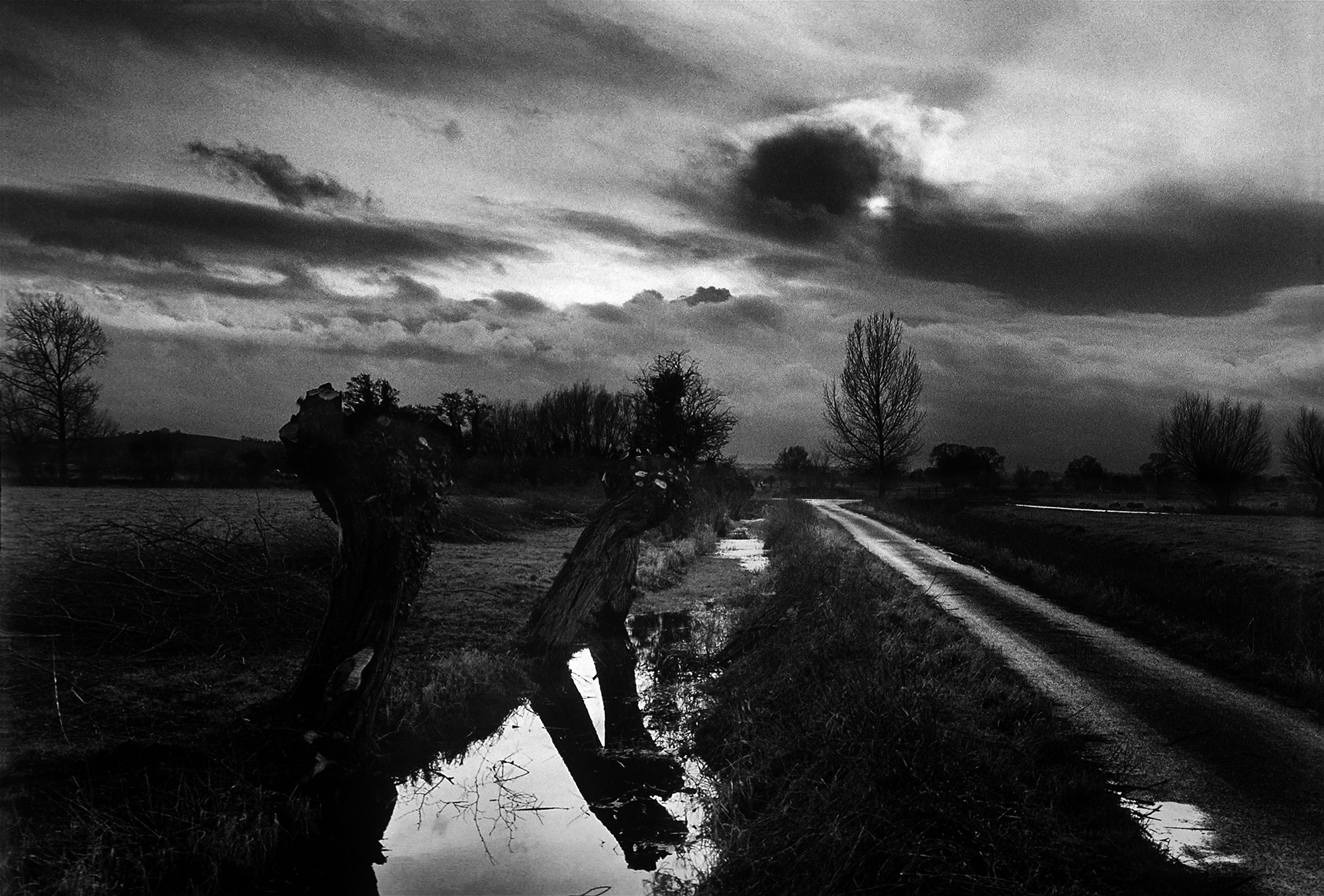 The Somerset Levels near Glastonbury, England, UK, 1994