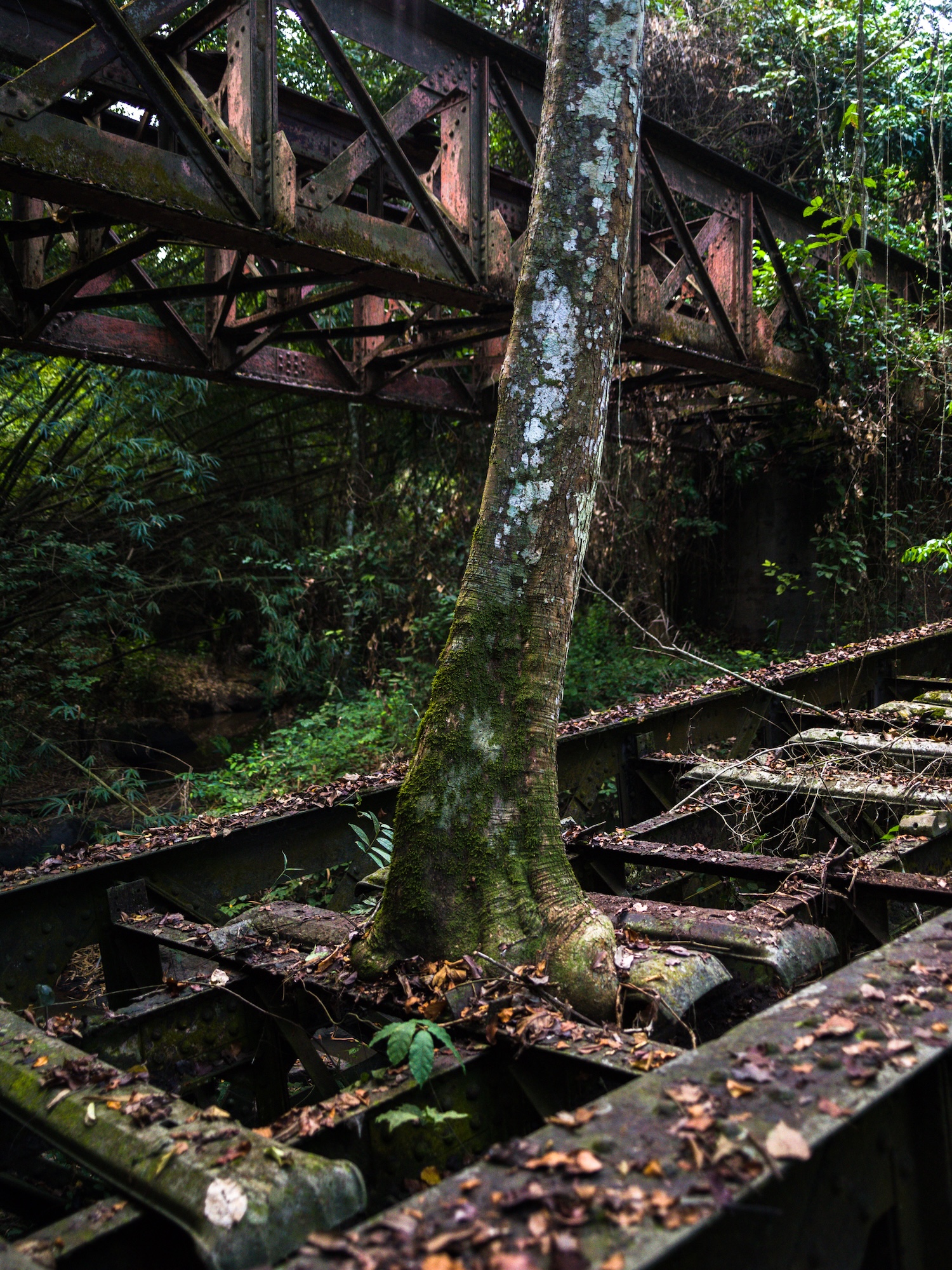 François-Xavier Gbré, <em>Rubino</em>, from the series <em>Radio Ballast</em>, 2024<br />© the artist/ADAGP, Paris”>
</div>
<div class=