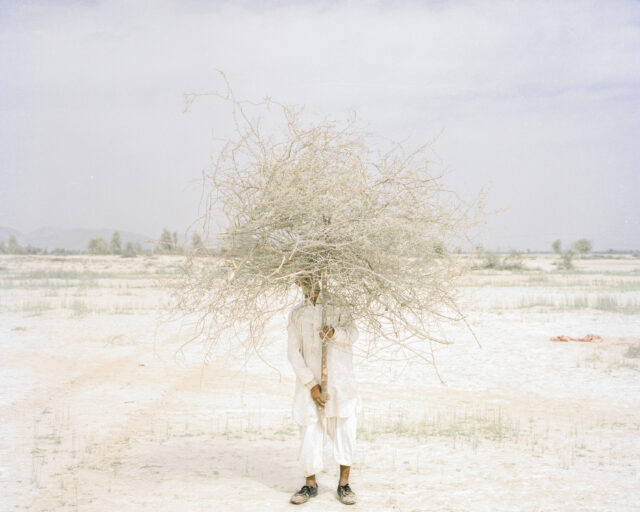 An individual stands in a desert holding a large dried bush in front of their body.