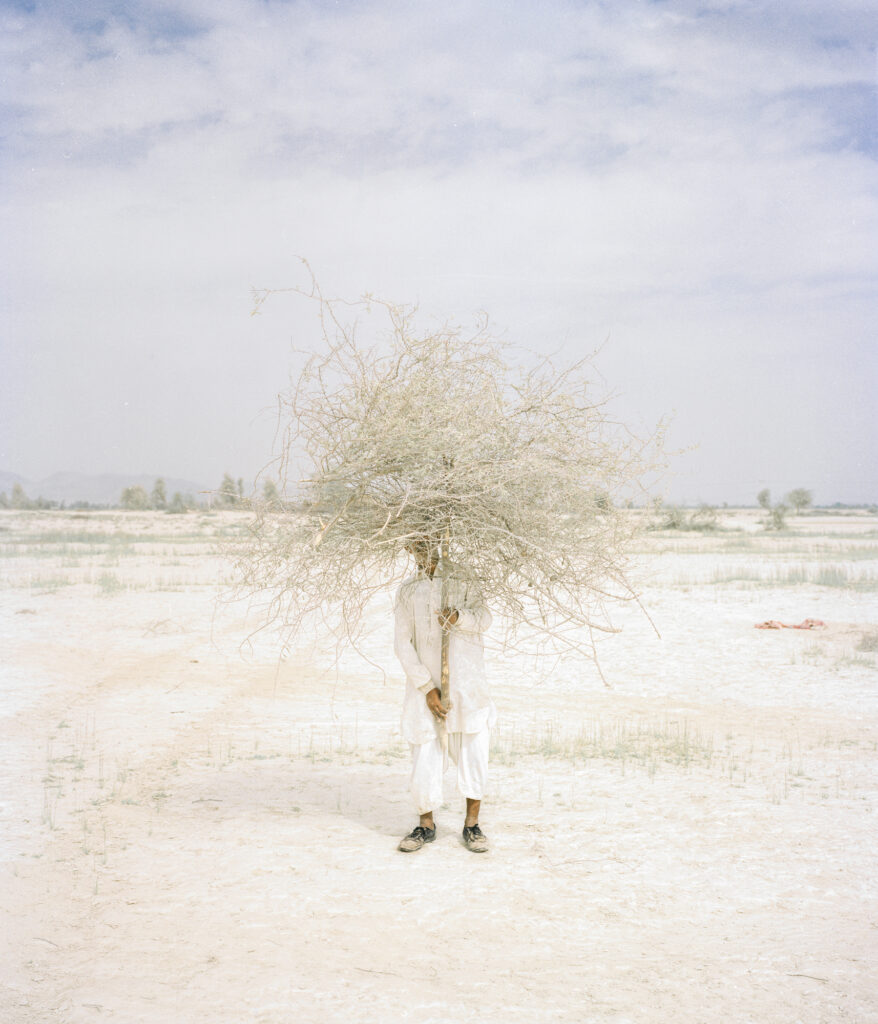 An individual stands in a desert holding a large dried bush in front of their body.