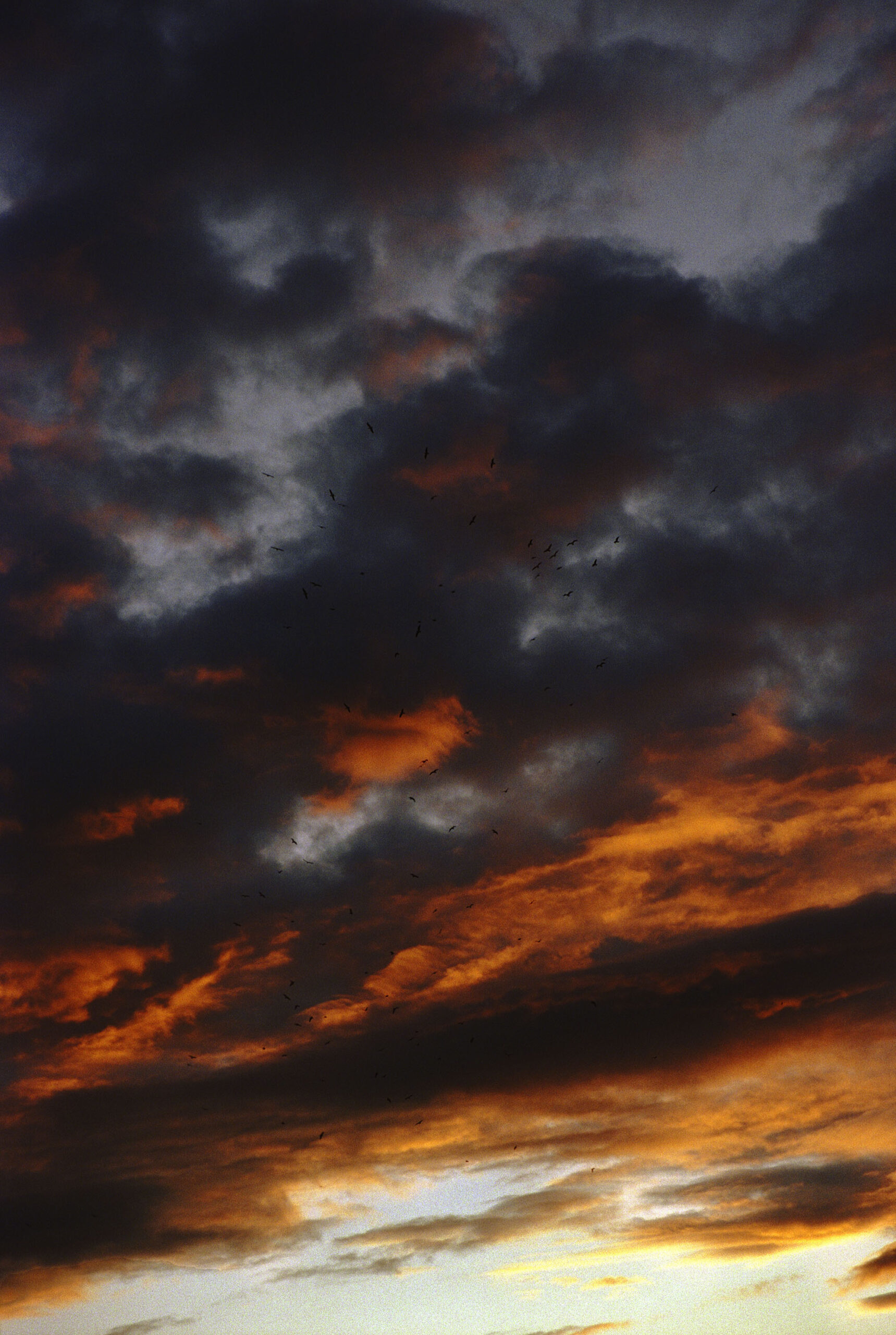 Dean Majd, <em>heaven’s inferno</em>, 2017, from the series <em>Hard Feelings</em>“>
		</div>
		<div class=