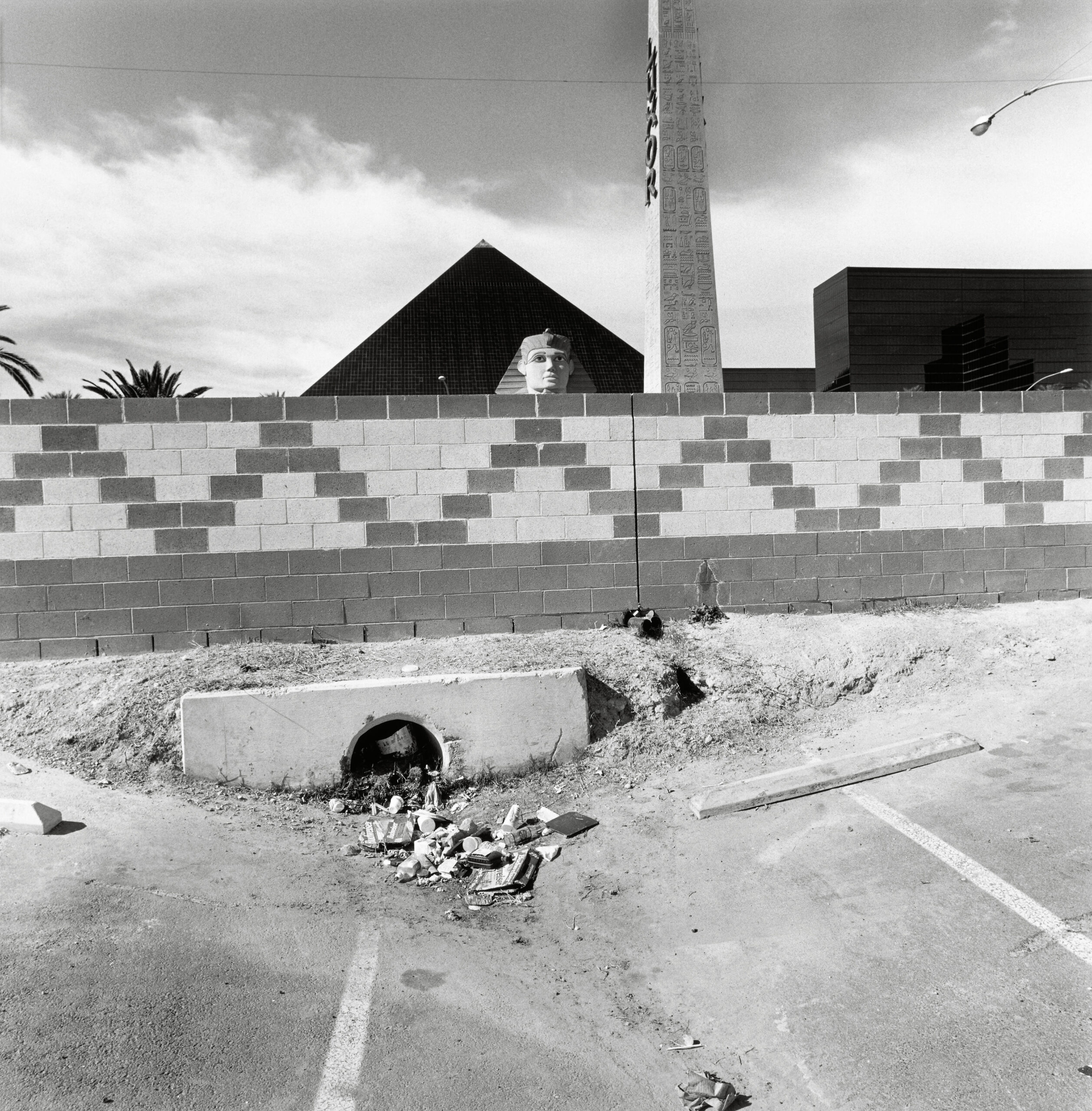 Life Still: Sixty Photographs by Lee Friedlander | Aperture