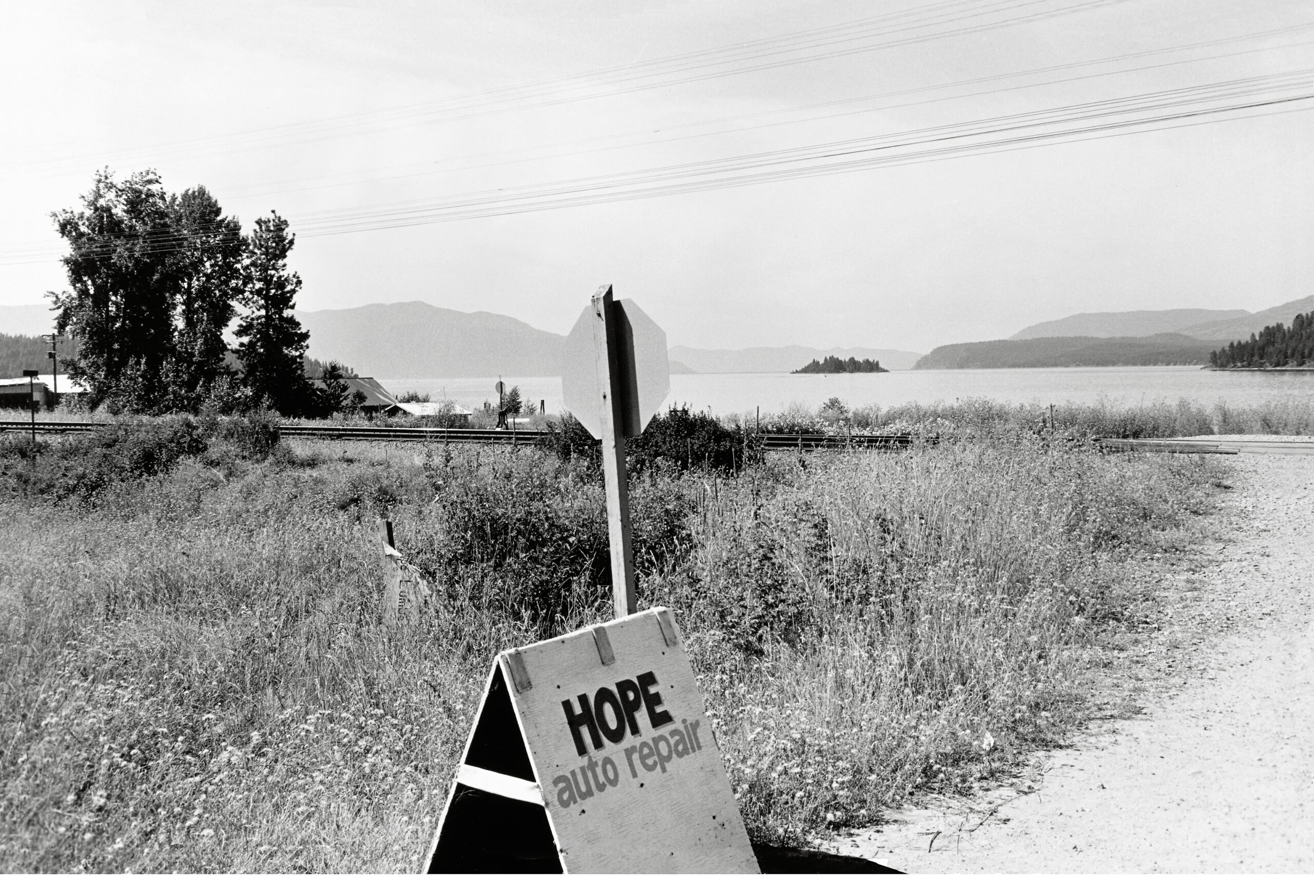 Life Still: Sixty Photographs by Lee Friedlander | Aperture