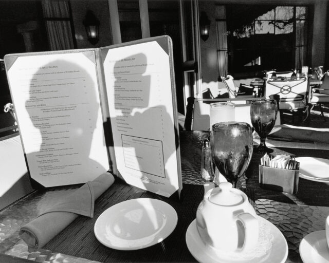 Life Still: Sixty Photographs by Lee Friedlander 