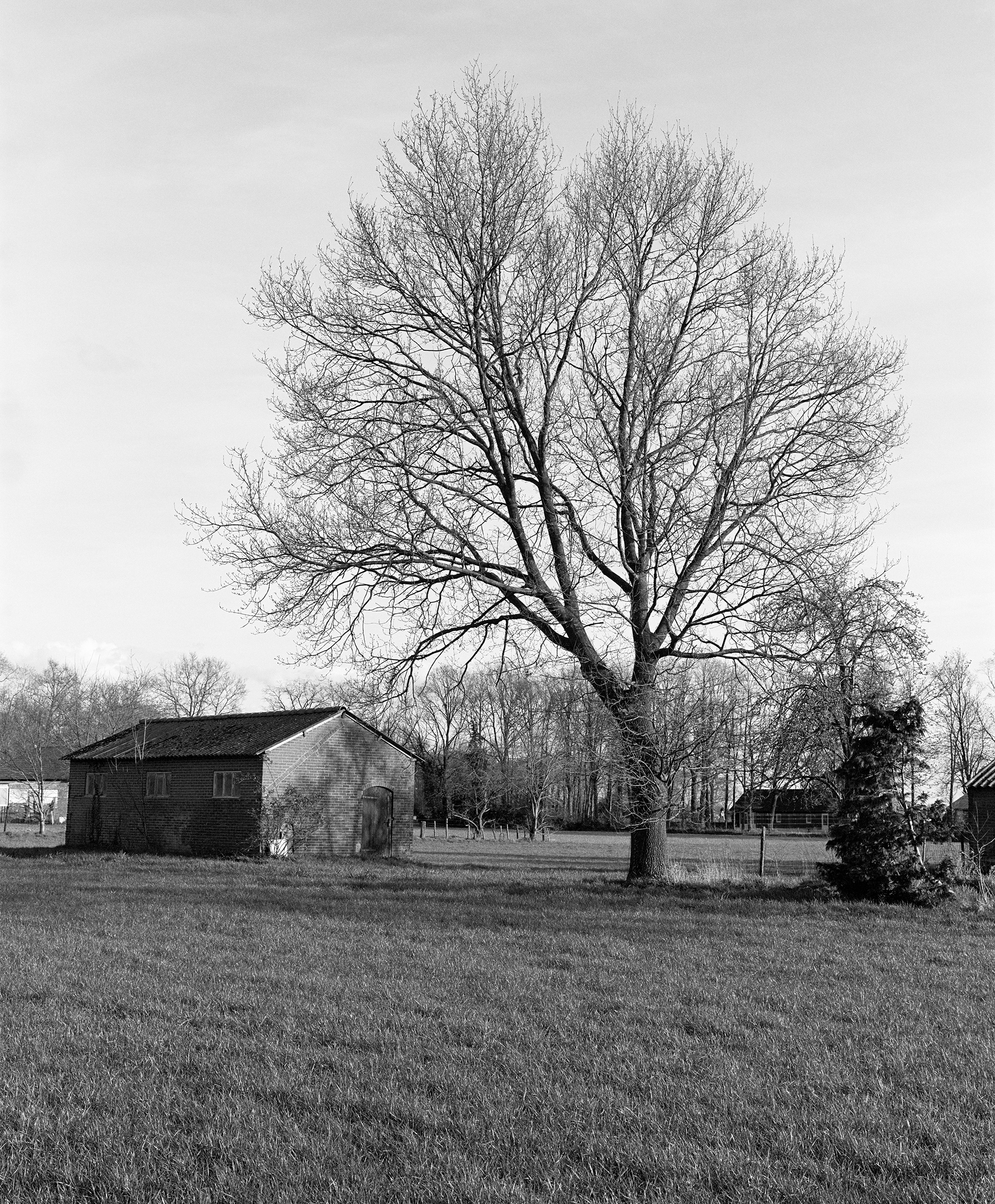 Farren van Wyk, <em>The Old Chicken shed</em>, Netherlands, 2024″>
		</div>
		<div class=