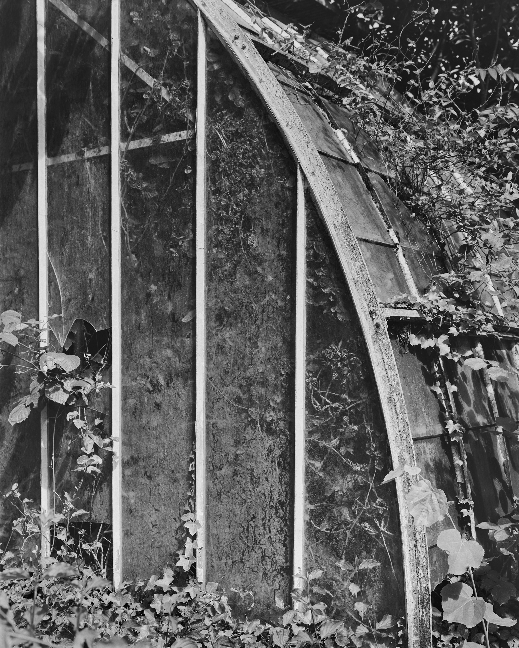 Magali Paulin, Former greenhouses of the <em>Colonial Garden</em> in Nogent-sur-Marne, built around 1899, July 2024<br>Courtesy the artist”>
		</div>
		<div class=