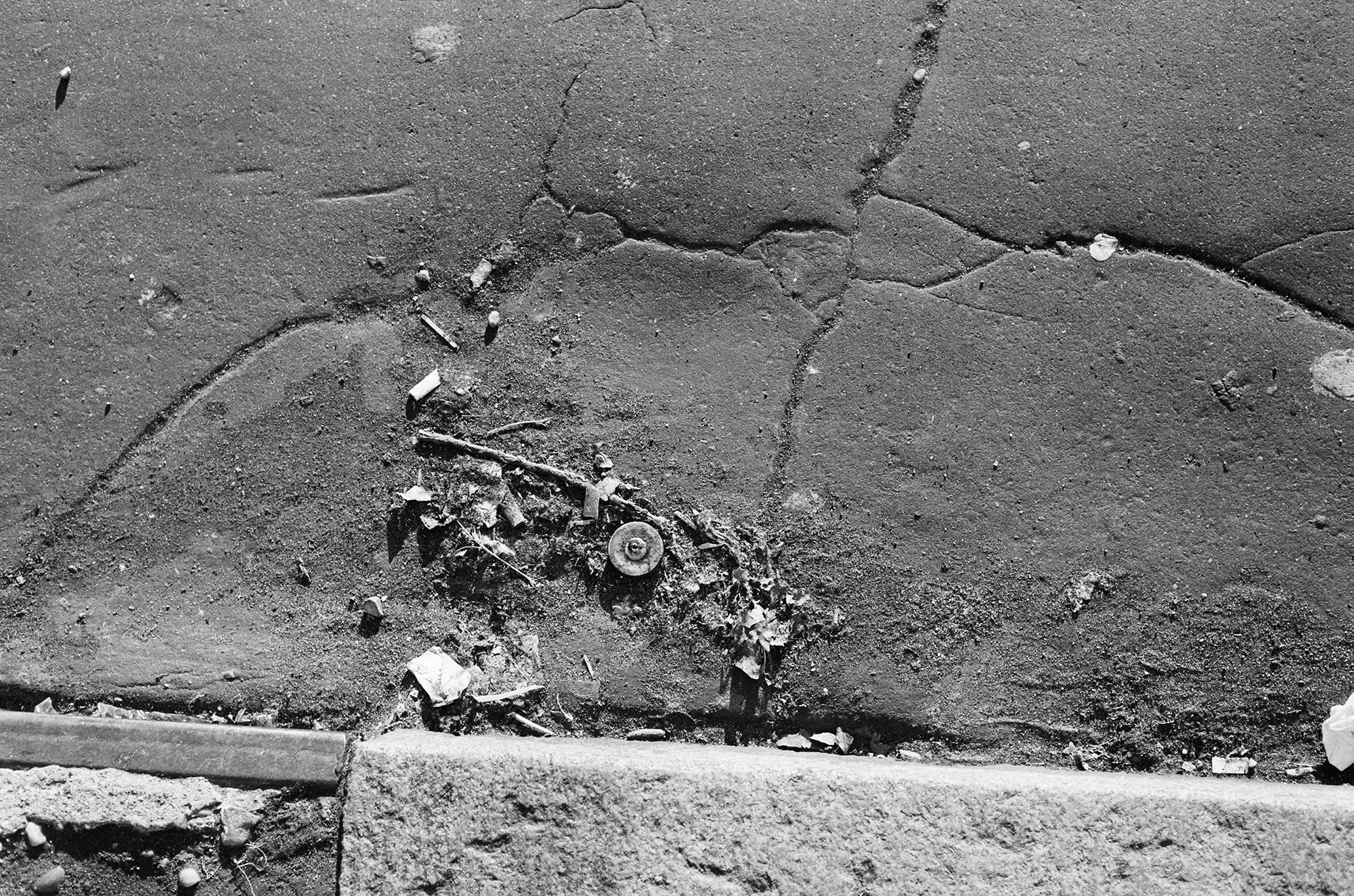 Walker Evans, from <em>40
Studies of Street Debris, Manhole Covers, and
Trash Bins</em>, New York City, ca. 1968<br>© Walker Evans Archive
and The Metropolitan
Museum of Art and
courtesy Art Resource, NY